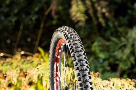 Unleash Your Fearless Side with the Schwalbe Magic Mary Tire